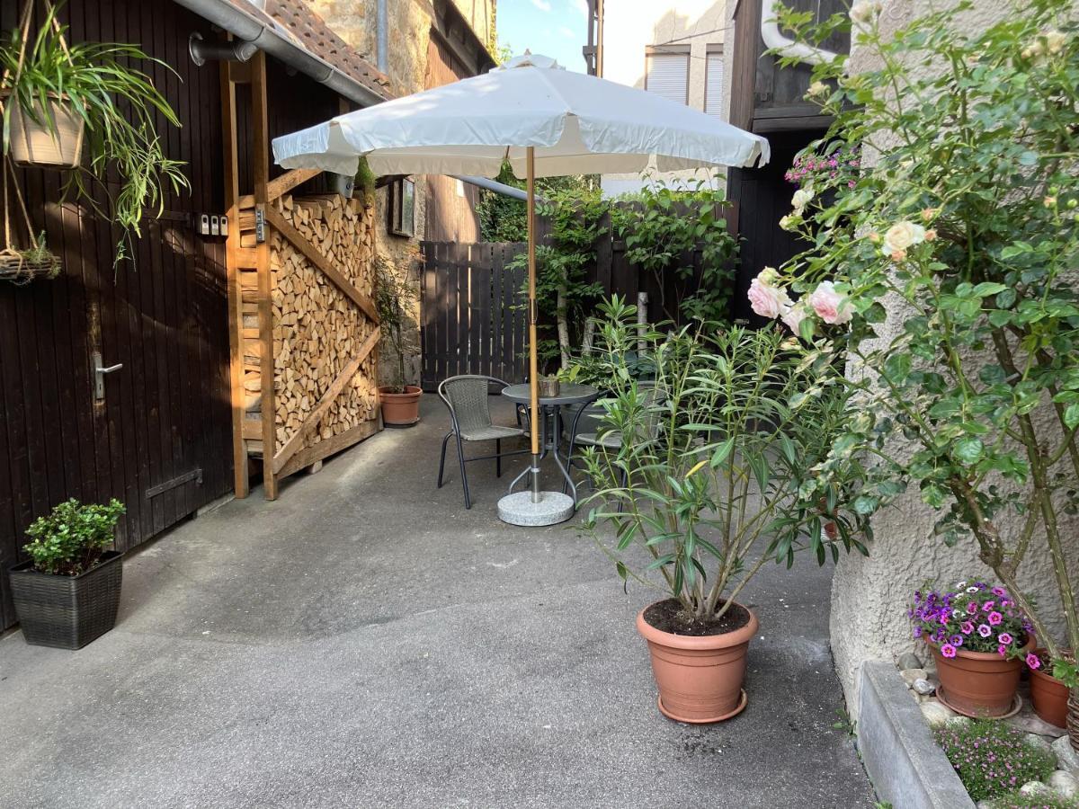 Enz Apartment Bietigheim-Bissingen Exterior foto