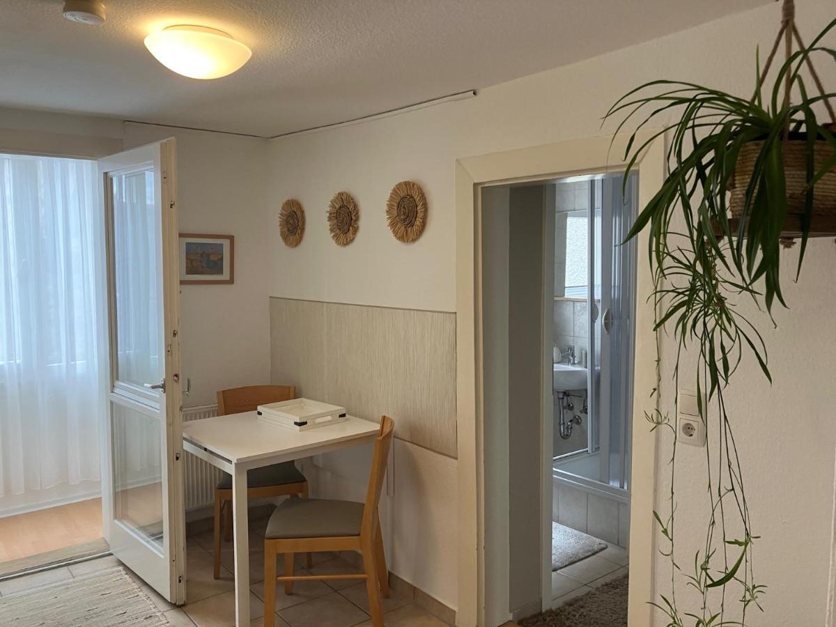 Enz Apartment Bietigheim-Bissingen Exterior foto